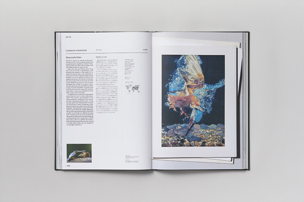 Act of Love / Book